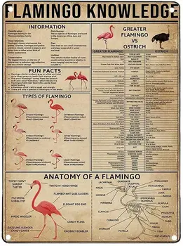 Flamingo Knowledge Ретро Метална лидице знак Вид печат Фламинго Плакат Кафенета, Училище, Домашно образование, Хол, Кухня Художествена стена