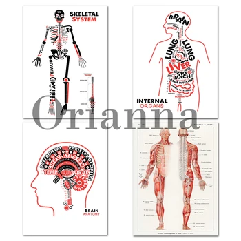 Анатомия На Тялото Печатни Плакат Биологичен Плакат На Мозъка Анатомия На Вътрешните Органи Стенно Изкуство Платно Образователна Схема Медицински Офис Декор